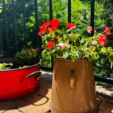 Casa de hóspedes Illaberek