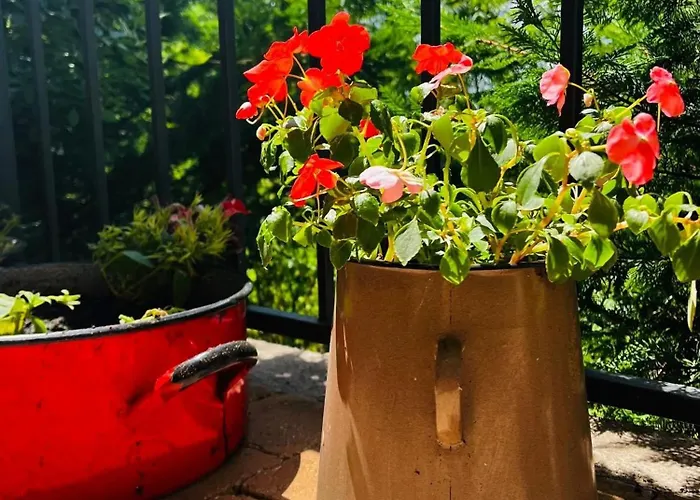 בית הארחה Illaberek Vendeghaz